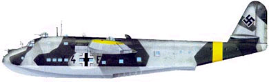 Profil couleur du Blohm und Voss Bv 222 Wiking