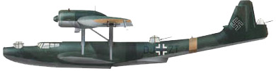 Profil couleur du Dornier Do 24 