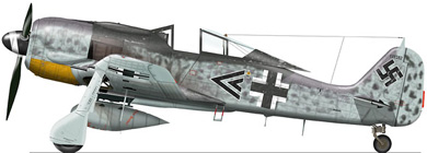 Profil couleur du Focke-Wulf Fw 190
