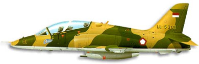 Profil couleur du BAe Hawk