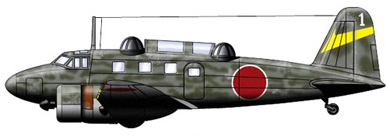 Profil couleur du Tachikawa Ki-54 'Hickory'