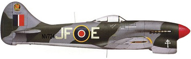 Profil couleur du Hawker Tempest