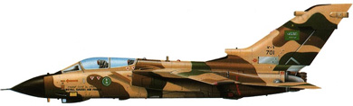 Profil couleur du Panavia Tornado IDS