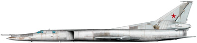 Profil couleur du Tupolev Tu-26 'Backfire'