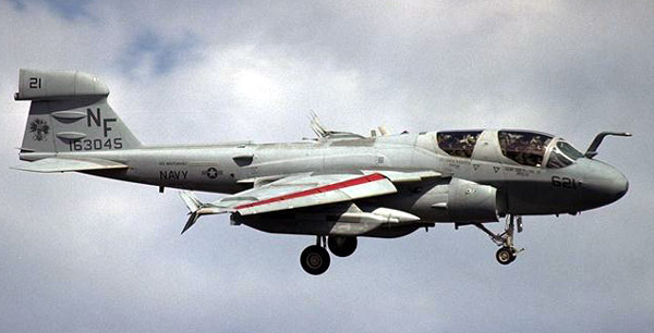 Photographie du Grumman EA-6 Prowler