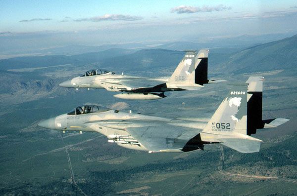 Photographie du McDonnell F-15 Eagle