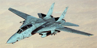 Grumman F-14 Tomcat
