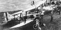 Gloster Gamecock
