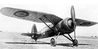 P.Z.L. P.11