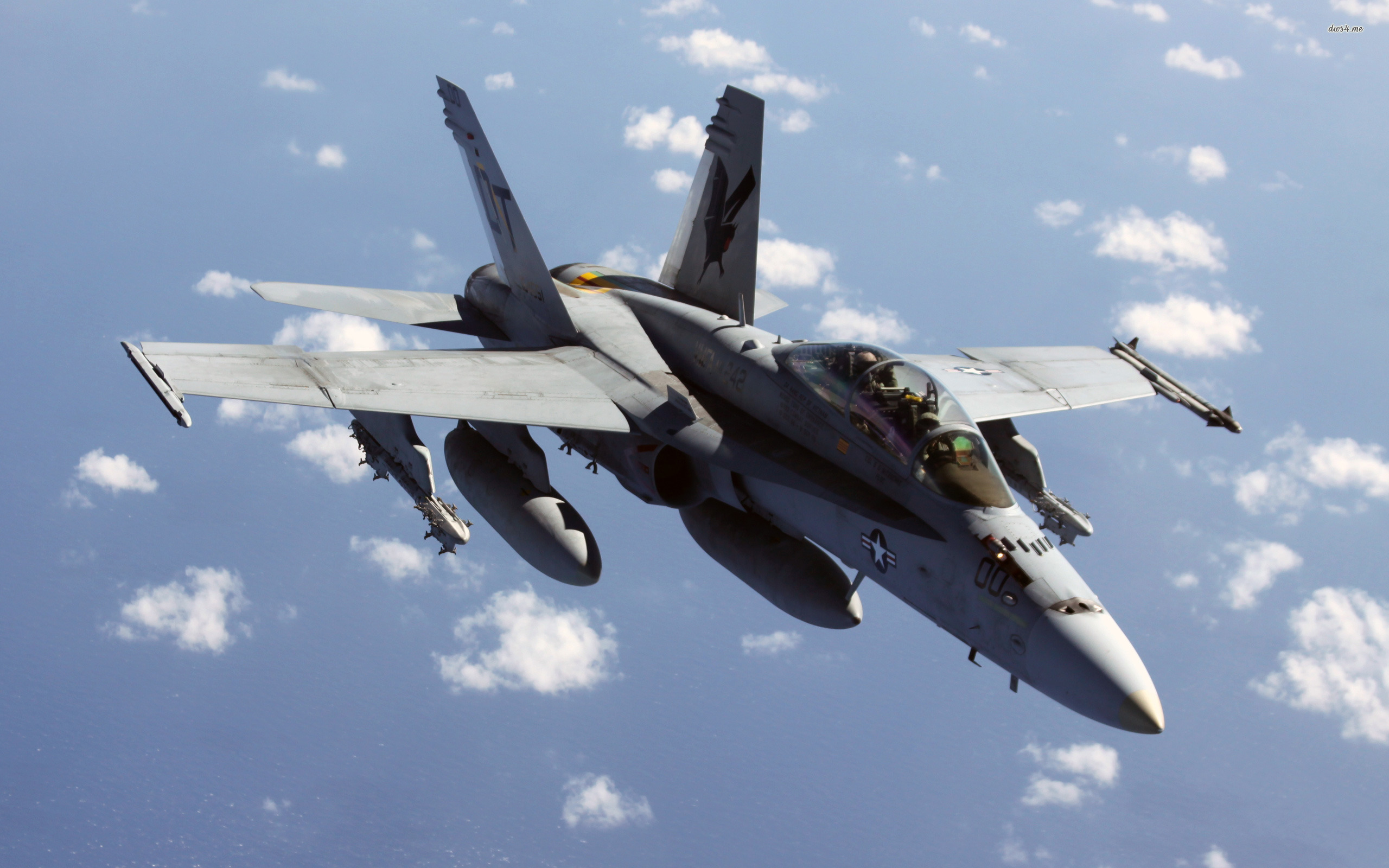 Mcdonnell Douglas Fa 18 Hornet —