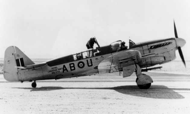 HMCS Firefly Warrior2