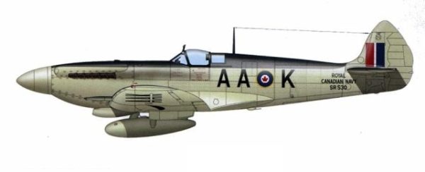 HMCS Seafire profil