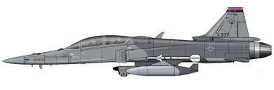 Profil couleur du Northrop YF-20 Tigershark