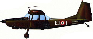 Profil couleur du SIAI-Marchetti SM.1019