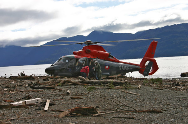 Eurocopter AS-365F1 Dauphin 2.