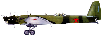 Profil couleur du Tupolev TB-3