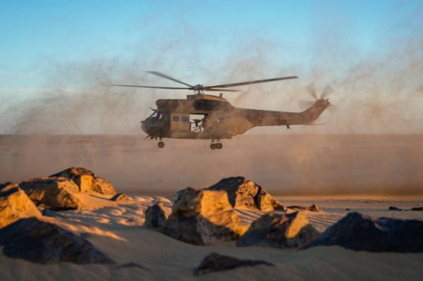 Le Puma dans son élément "désertique".