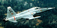 Miniature du Northrop F-5 Freedom Fighter