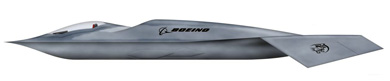 Profil couleur du Boeing Bird of Prey