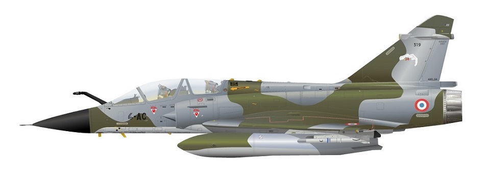 Profil couleur du Dassault Aviation Mirage 2000N