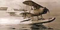 Miniature du Naval Aircraft Factory N3N Canary