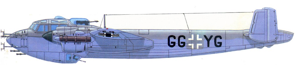 Profil couleur du Dornier Do 217