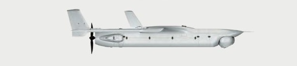 Profil couleur du Boeing RQ-21 Blackjack