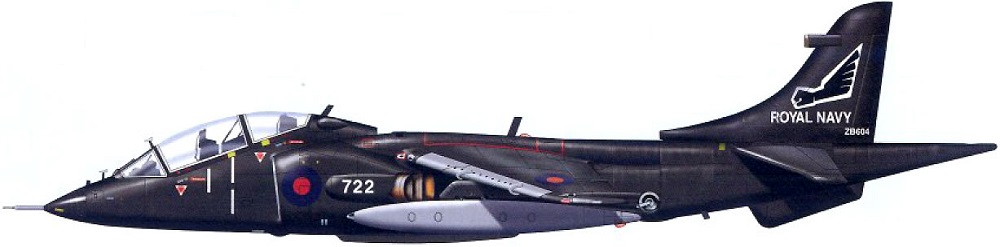 Profil couleur du Hawker-Siddeley Harrier T.2