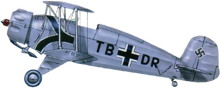 Profil couleur du Bücker Bu 133 Jungmeister