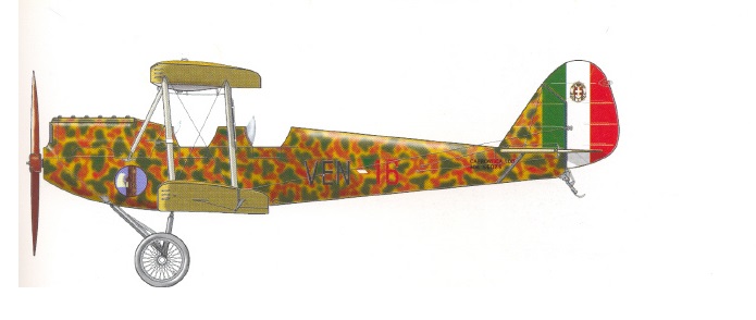 Profil couleur du Caproni Ca.100