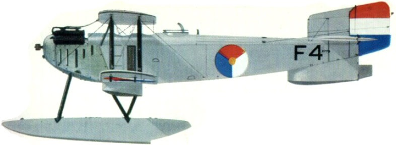 Profil couleur du Fairey Type III