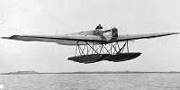 Miniature du Fokker T.II