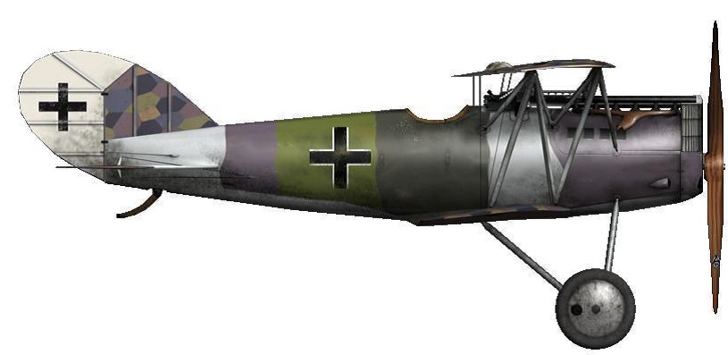 Profil couleur du Pfalz D.XII