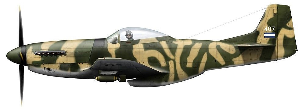 Profil couleur du Cavalier F-51 Mustang