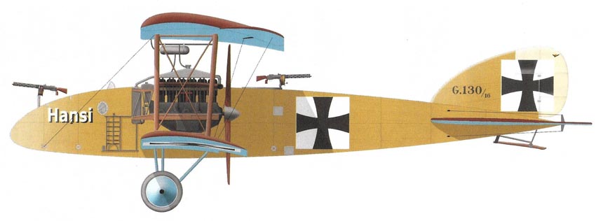 Profil couleur du Albatros G.III