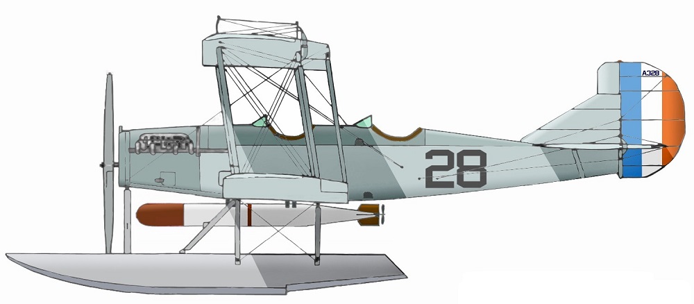 Profil couleur du Curtiss Model R