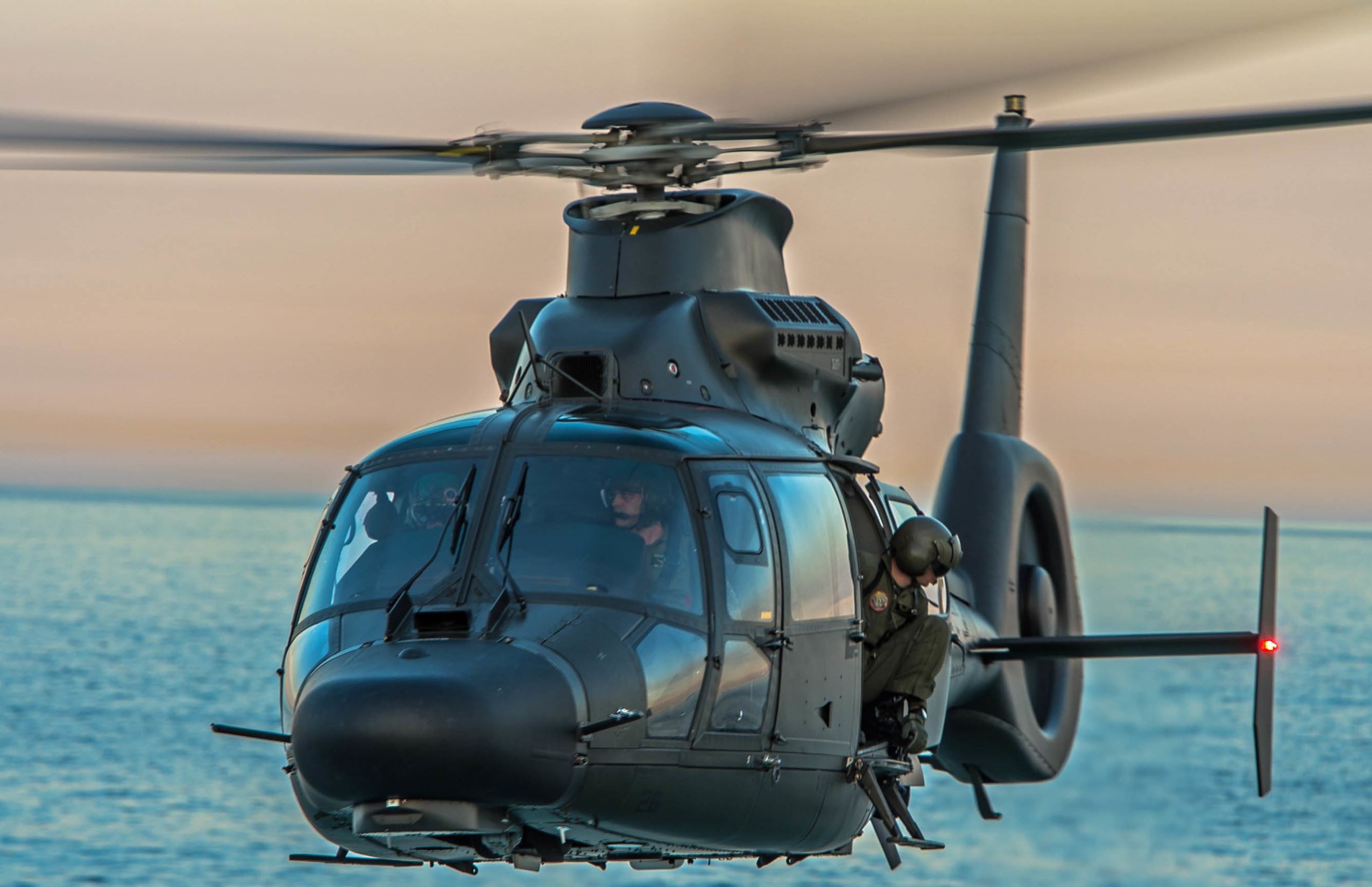 Panther sur la «selva». — avionslegendaires.net