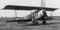 Miniature du Fokker S.II