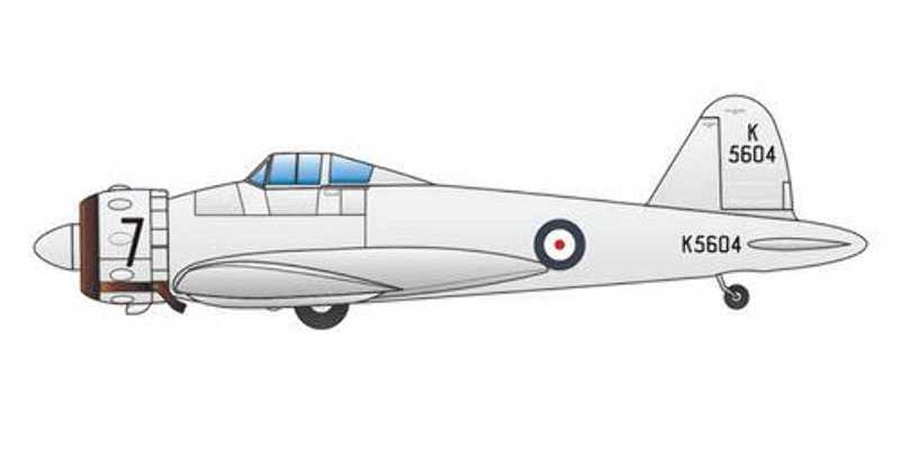 Profil couleur du Gloster G.38