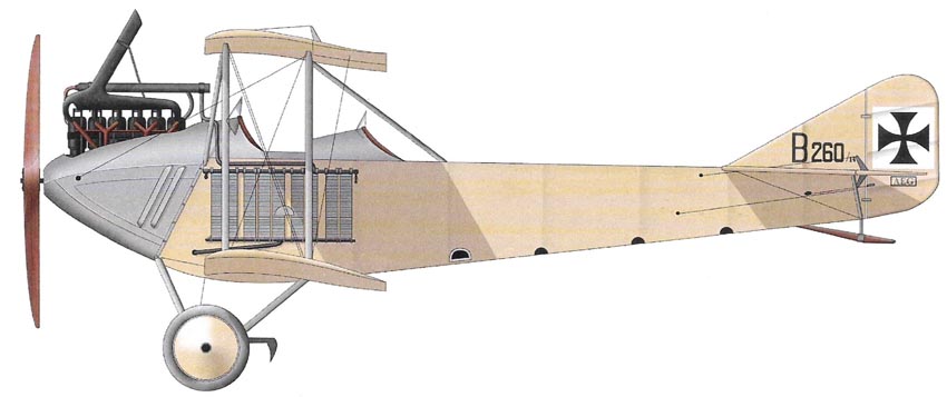 Profil couleur du AEG B.I / B.II / B.III