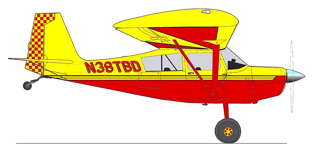 Profil couleur du Bellanca / American Champion Scout