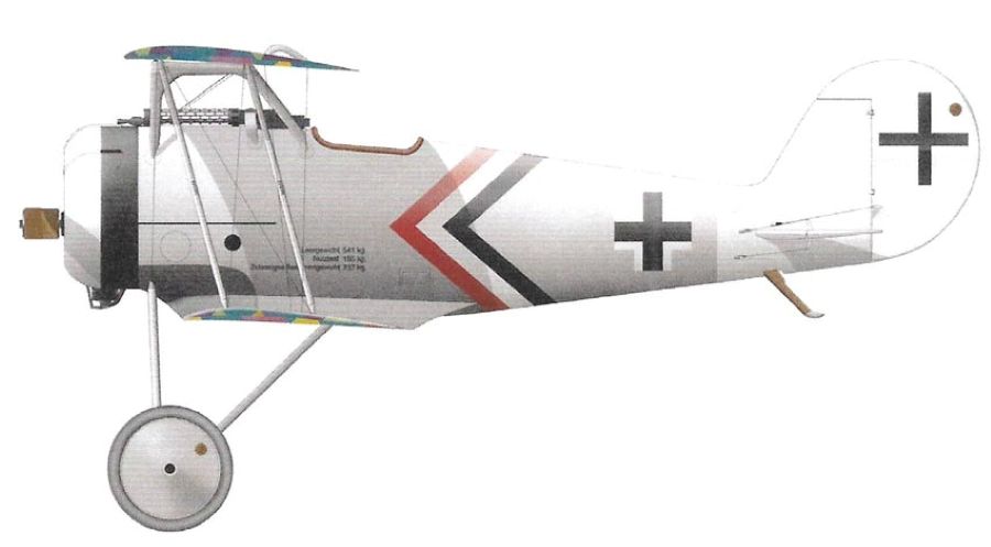Profil couleur du Pfalz D.VIII