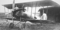 Miniature du Pfalz D.VIII