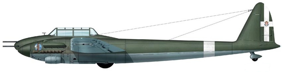 Profil couleur du Savoia-Marchetti SM.91