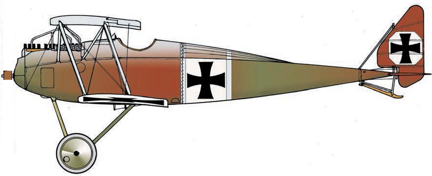 Profil couleur du Halberstadt D.V