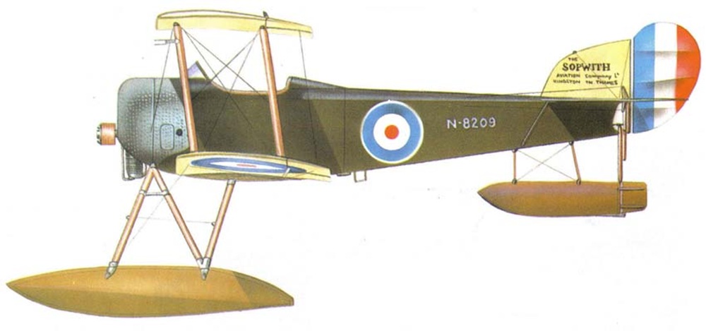 Profil couleur du Sopwith Baby