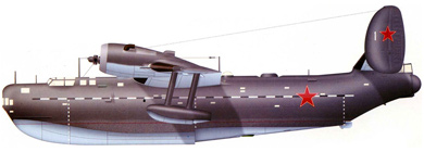 Profil couleur du Beriev Be-6 ‘Madge’