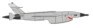 Profil couleur du Ryan AQM/BQM-34 Firebee