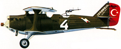 Profil couleur du Breguet Br.19