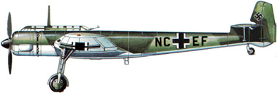 Profil couleur du Blohm und Voss Bv 141 Assymmetric